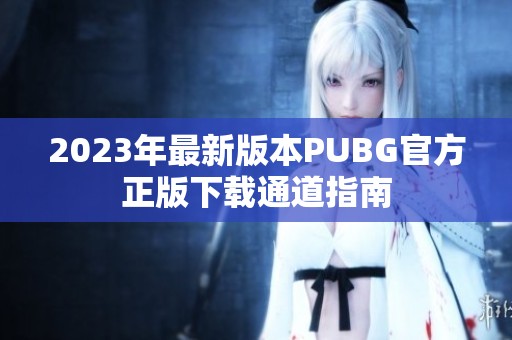 2023年最新版本PUBG官方正版下载通道指南