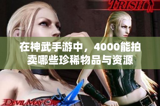 在神武手游中，4000能拍卖哪些珍稀物品与资源