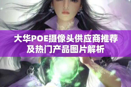 大华POE摄像头供应商推荐及热门产品图片解析