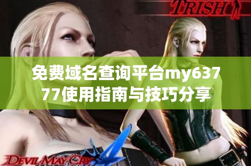 免费域名查询平台my63777使用指南与技巧分享