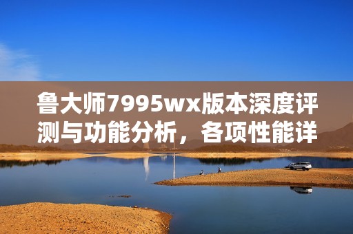 鲁大师7995wx版本深度评测与功能分析，各项性能详解