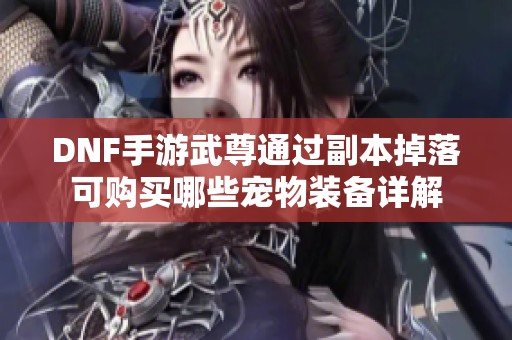 DNF手游武尊通过副本掉落可购买哪些宠物装备详解
